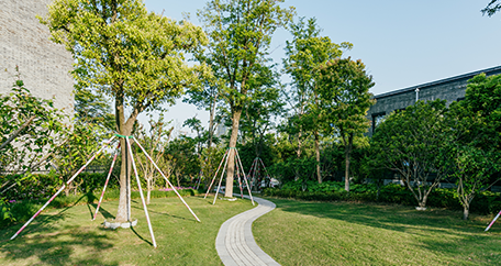 Tree Cabling / Bracing